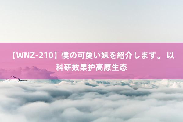 【WNZ-210】僕の可愛い妹を紹介します。 以科研效果护高原生态