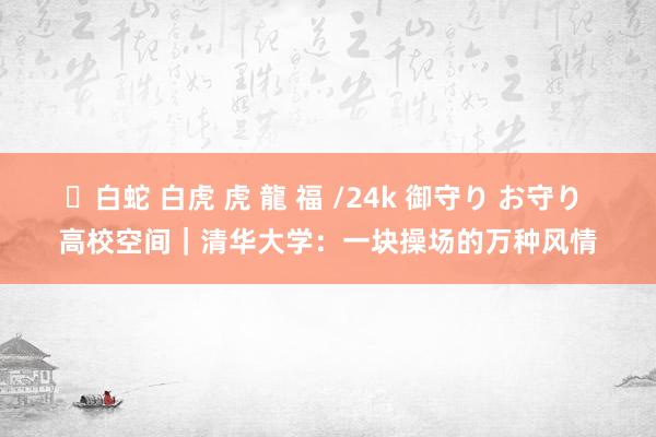 ✨白蛇 白虎 虎 龍 福 /24k 御守り お守り 高校空间｜清华大学：一块操场的万种风情