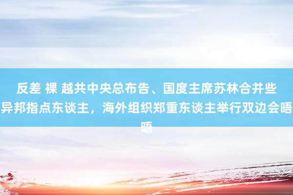 反差 裸 越共中央总布告、国度主席苏林合并些异邦指点东谈主，海外组织郑重东谈主举行双边会晤