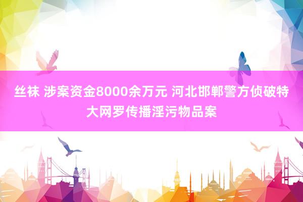 丝袜 涉案资金8000余万元 河北邯郸警方侦破特大网罗传播淫污物品案