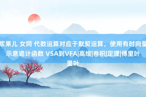 浆果儿 女同 代数运算对应于默契运算，使用有时向量示意诡计函数 VSA到VFA|高维|卷积|定理|傅里叶