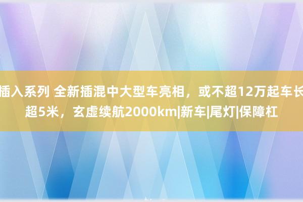 插入系列 全新插混中大型车亮相，或不超12万起车长超5米，玄虚续航2000km|新车|尾灯|保障杠