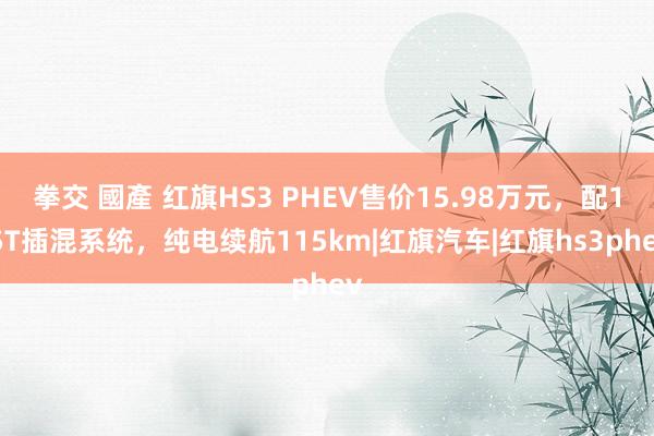 拳交 國產 红旗HS3 PHEV售价15.98万元，配1.5T插混系统，纯电续航115km|红旗汽车|红旗hs3phev