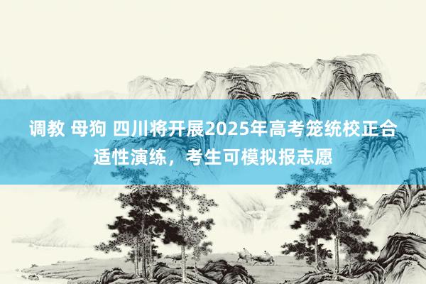 调教 母狗 四川将开展2025年高考笼统校正合适性演练，考生可模拟报志愿