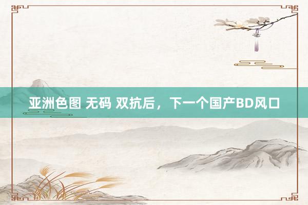 亚洲色图 无码 双抗后，下一个国产BD风口