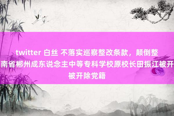 twitter 白丝 不落实巡察整改条款，颠倒整改！湖南省郴州成东说念主中等专科学校原校长田振江被开除党籍